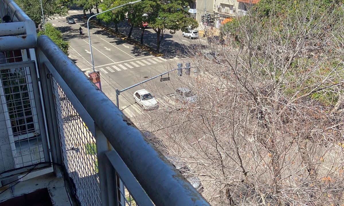 WhatsApp Image 2024-09-19 at 4.23.34 PM (2)